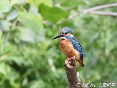 又一日
