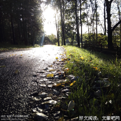 你在他乡还好吗