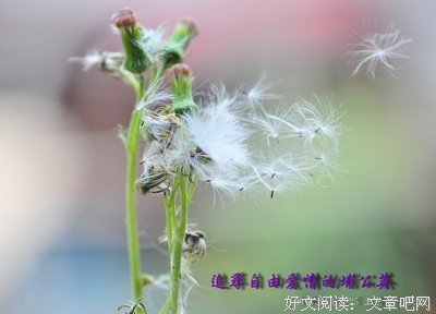 幸福真的很简单