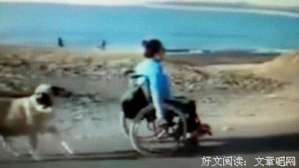 留在心里的感动