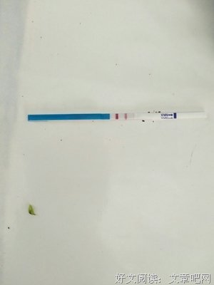 心微微痛着