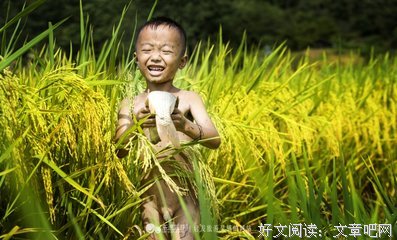 姥姥家的枣儿