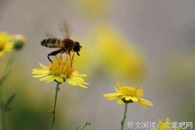 为谁辛苦为谁甜