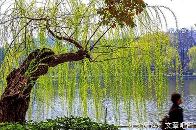 走进春天爱我校园