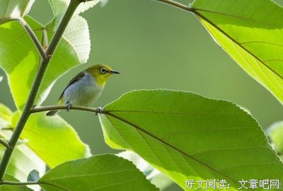 六一儿童节杂感