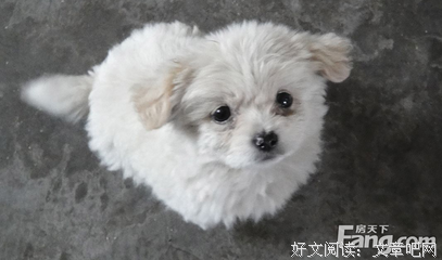善待每一个生命