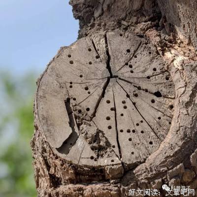 在工作中感受乐趣