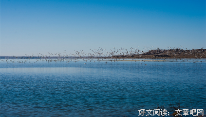 爸爸去旅游