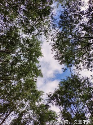 一瞬的美