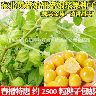 播下粒粒种子