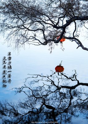 天光云影共徘徊