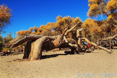 最美的地方