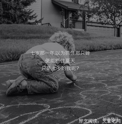 那年蝉事