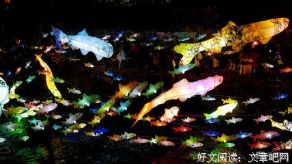 元宵节观花想到的