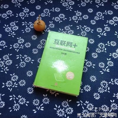 国家查编行动