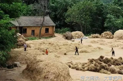 麦收记忆