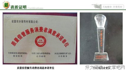 儿子与鼠妇