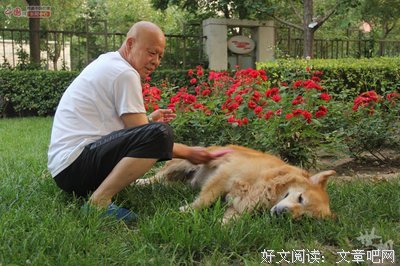 狗如是说