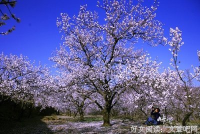 那个小山村