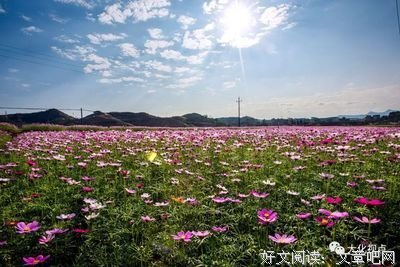 踏春去