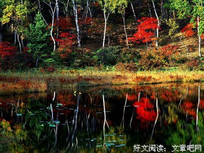 看霜染红叶
