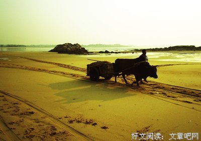 春了（liao）履痕