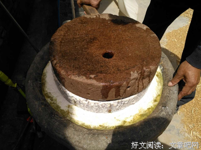 味蕾上的故乡