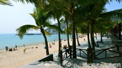 敲响在心里的钟声