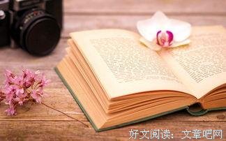 《混在县城》教师图鉴