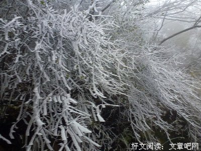 那年冬天雪花飘