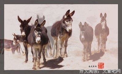 来者可追