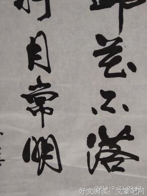 风静月照人