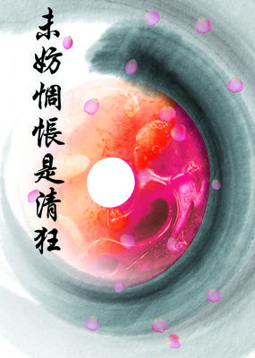 未妨惆怅