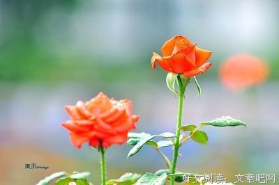 放手