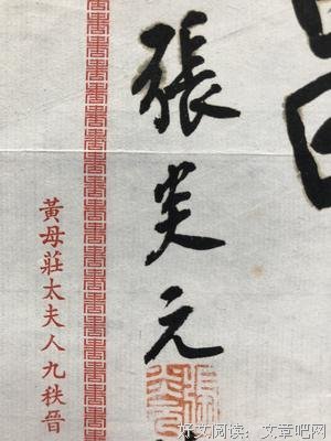 局长夫人的鹦鹉