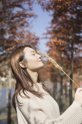 回不到从前的猫