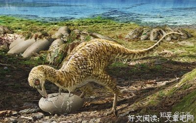 不能抓的贼
