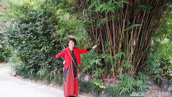 【幽静的小花园——复兴中路1325号】
