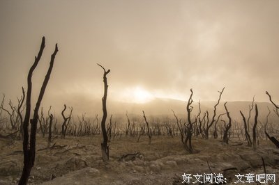 生命的倒计时