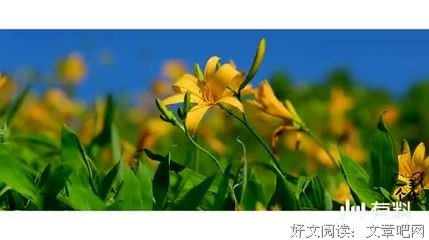 月有多亮，人有多想家