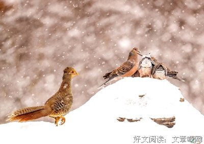 冷暖自知