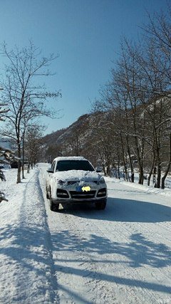 马又