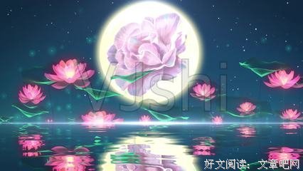 月色下的倒影