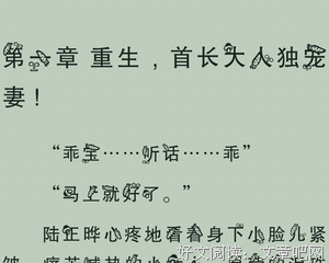 首长大人独宠小娇妻