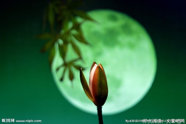 又是一地月色