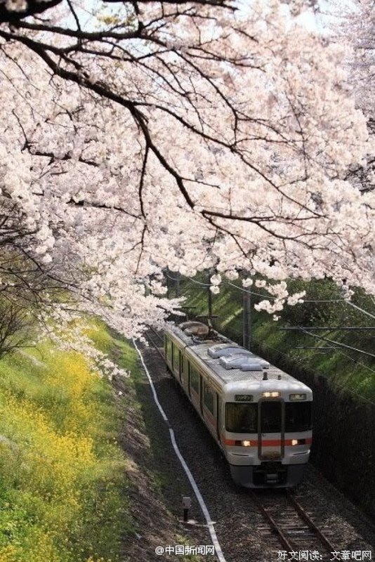 人生的路