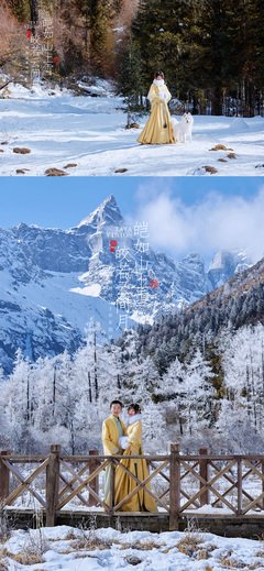 他她
