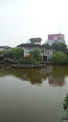 老人与我