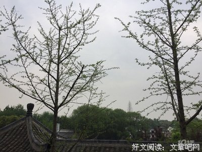 一半清醒一半醉