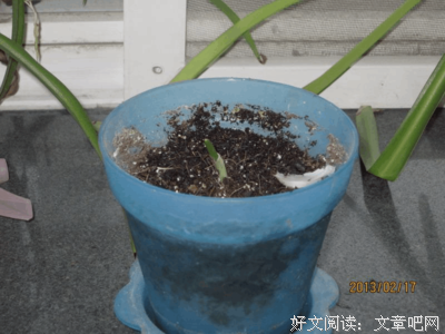 成长，是你的光在消失。